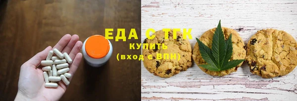 СК Вязьма