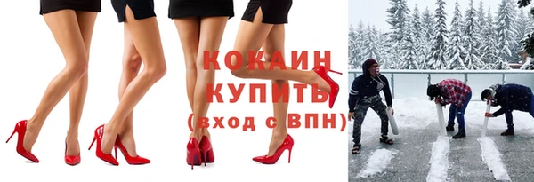 стаф Вяземский