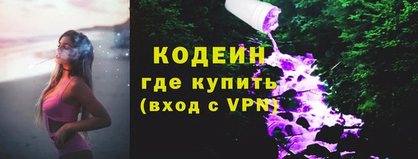 стаф Вяземский