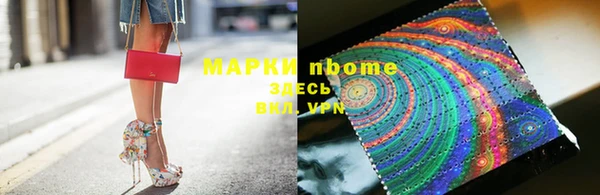стаф Вяземский