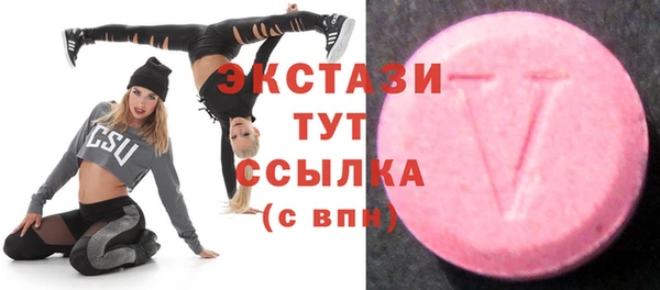 СК Вязьма