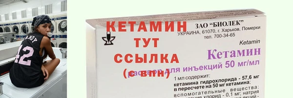 СК Вязьма