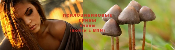 амф Вязники