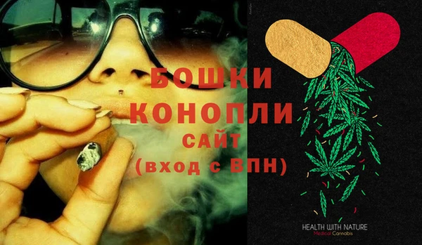 СК Вязьма