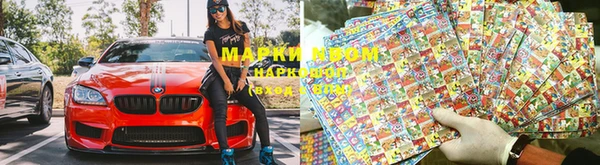 стаф Вяземский