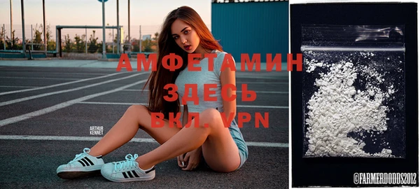 стаф Вяземский