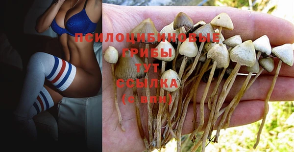 амф Вязники