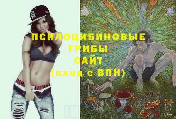 амф Вязники