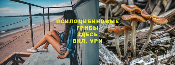 стаф Вяземский