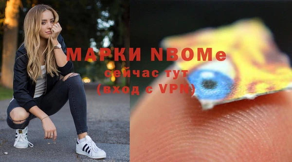 стаф Вяземский