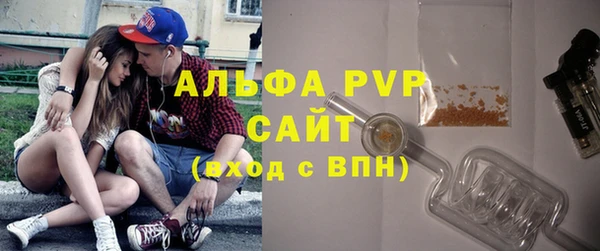 СК Вязьма